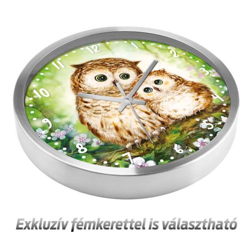 Bagoly mama és picinye