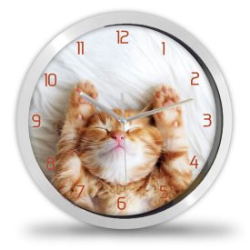 Cicás falióra – illusztrált