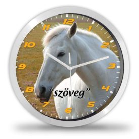 Fehér lovas falióra – illusztrált