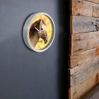 Barna lovas falióra – skandináv