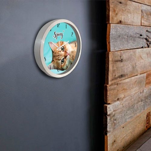 Cicás falióra – grafikus – illusztrált