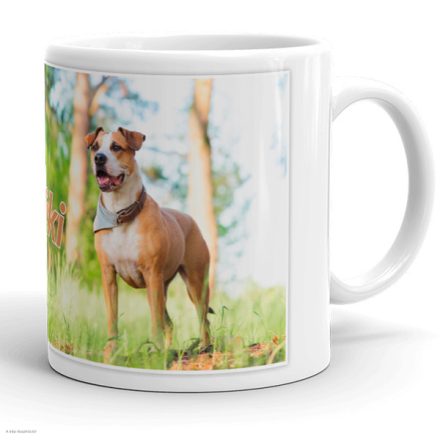 Saját fotós-képes bögre