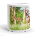 Saját fotós-képes bögre