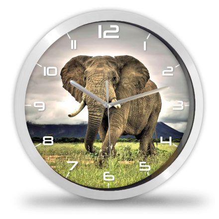 Elefántos falióra – színes