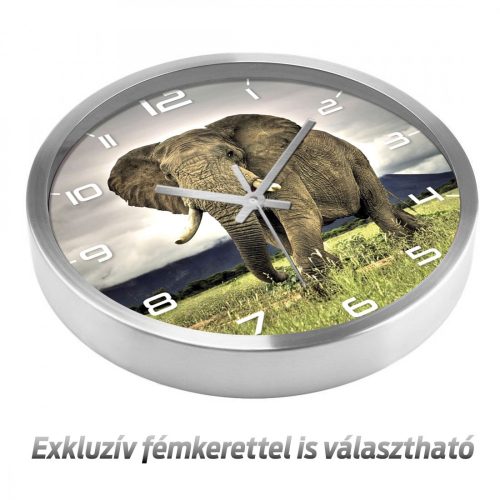 Elefántos falióra – színes