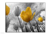 Sárga tulipán hűtőmágnes extra nagy (A5 - A4)
