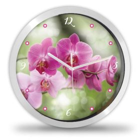 Orchidea virágos falióra Orchidea virágos falióra